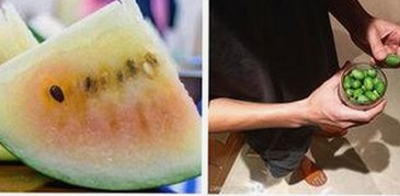 17.c3起草安卓版：轻松体验最新版本与热门资源推荐