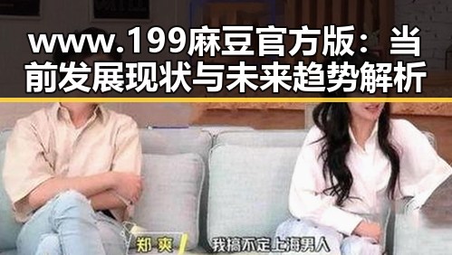 www.199麻豆官方版：当前发展现状与未来趋势解析