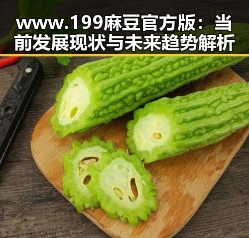 www.199麻豆官方版：当前发展现状与未来趋势解析