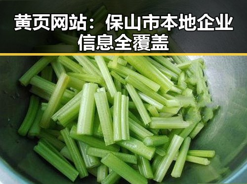 黄页网站：保山市本地企业信息全覆盖
