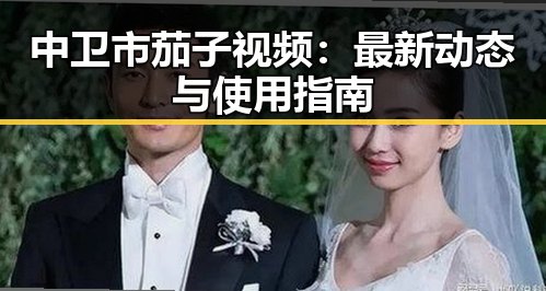 中卫市茄子视频：最新动态与使用指南