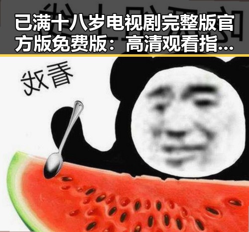 已满十八岁电视剧完整版官方版免费版：高清观看指南与资源介绍