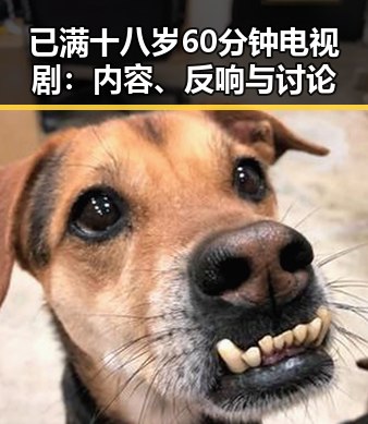 已满十八岁60分钟电视剧：内容、反响与讨论