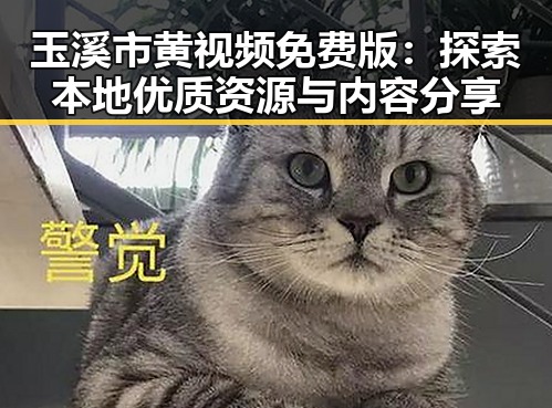 玉溪市黄视频免费版：探索本地优质资源与内容分享
