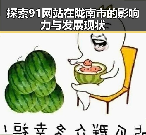 探索91网站在陇南市的影响力与发展现状