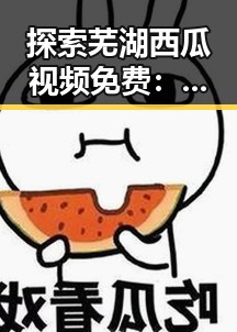 探索芜湖西瓜视频免费：娱乐新体验的轻快导读