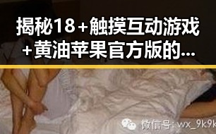 揭秘18+触摸互动游戏+黄油苹果官方版的最新动态
