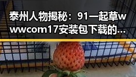 泰州人物揭秘：91 一起草wwwcom17安装包下载的幕后故事