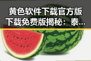 黄色软件下载官方版下载免费版揭秘：泰安市相关安全软件推荐