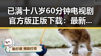 已满十八岁60分钟电视剧官方版正版下载：最新资源解析与现状