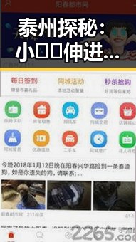 泰州探秘：小🐔🐔伸进🈲🔞🔞官方版背后的文化与争议
