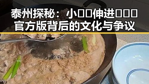 泰州探秘：小🐔🐔伸进🈲🔞🔞官方版背后的文化与争议