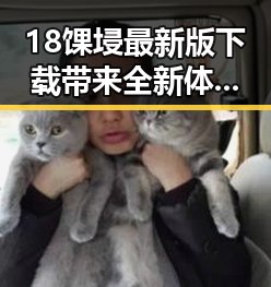 18馃埐最新版下载带来全新体验，奢华享受再升级