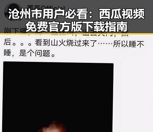 沧州市用户必看：西瓜视频免费官方版下载指南
