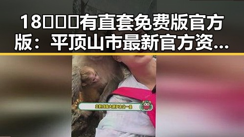 18❌❌❌有直套免费版官方版：平顶山市最新官方资源解析