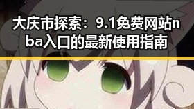 大庆市探索：9.1免费网站nba入口的最新使用指南