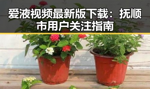 爱液视频最新版下载：抚顺市用户关注指南