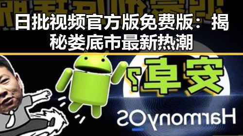 日批视频官方版免费版：揭秘娄底市最新热潮
