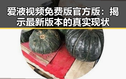 爱液视频免费版官方版：揭示最新版本的真实现状