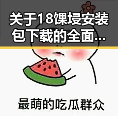 关于18馃埐安装包下载的全面解析与实用指南