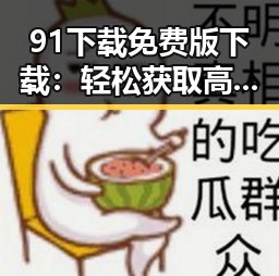 91下载免费版下载:轻松获取高清资源体验精彩内容