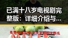已满十八岁电视剧完整版：详细介绍与观看指南