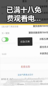 已满十八免费观看电视剧官方版下载：最新资源获取指南