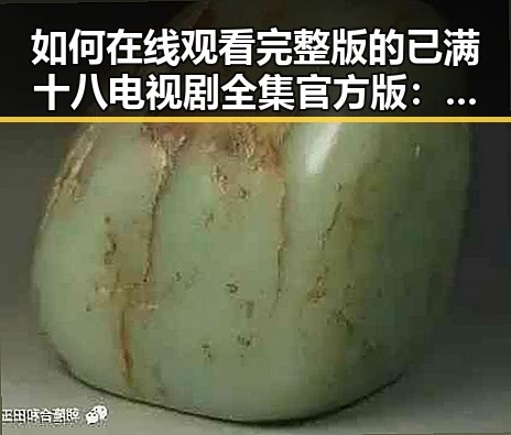 如何在线观看完整版的已满十八电视剧全集官方版：免费观看已满十八电视剧全集官方版下载指南