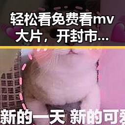 轻松看免费看mv大片，开封市的最佳选择