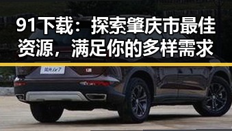 91下载：探索肇庆市最佳资源，满足你的多样需求