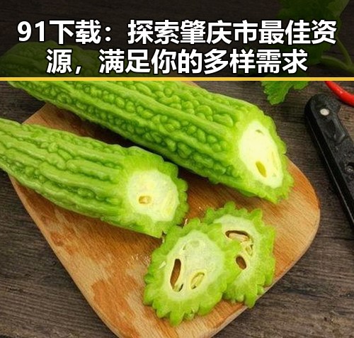 91下载：探索肇庆市最佳资源，满足你的多样需求