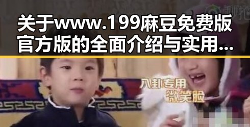 关于www.199麻豆免费版官方版的全面介绍与实用指南