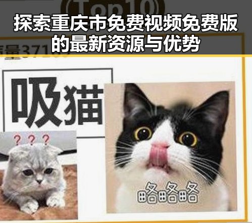 探索重庆市免费视频免费版的最新资源与优势