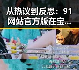 从热议到反思:91网站官方版在宝鸡市的现状与发展
