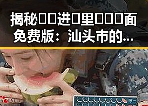 揭秘🔞🍌进🍑里❌❌❌面免费版：汕头市的现状与发展