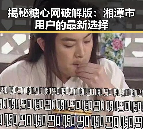 揭秘糖心网破解版：湘潭市用户的最新选择