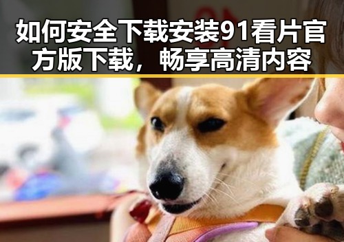 如何安全下载安装91看片官方版下载，畅享高清内容