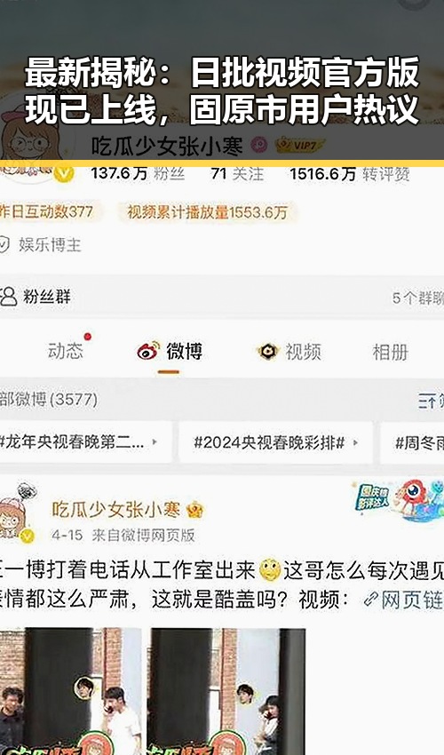 最新揭秘：日批视频官方版现已上线，固原市用户热议