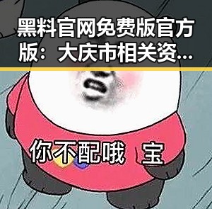 黑料 官网免费版官方版：大庆市相关资源分析