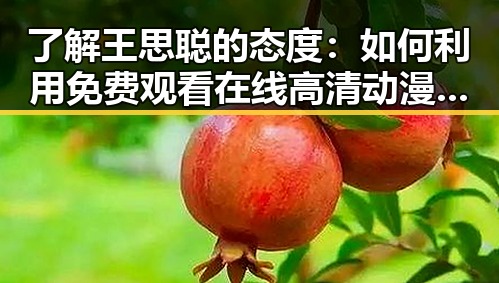 了解王思聪的态度：如何利用 免费观看在线高清动漫的软件下载轻松追番