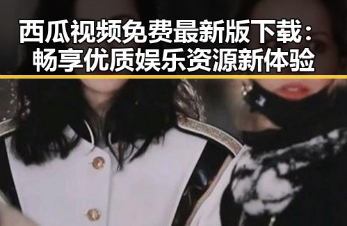 西瓜视频免费最新版下载：畅享优质娱乐资源新体验