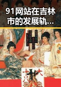 91网站在吉林市的发展轨迹与现状分析