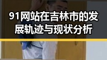 91网站在吉林市的发展轨迹与现状分析