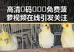 高清🈚码🔞❌♋免费菠萝视频在线引发关注