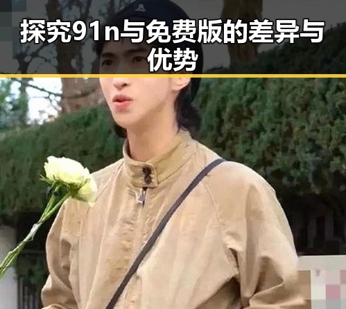 探究91n与免费版的差异与优势