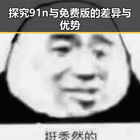 探究91n与免费版的差异与优势