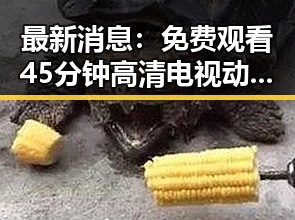 最新消息：免费观看45分钟高清电视动漫官方版下载免费版已上线