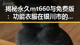 揭秘永久mt660与免费版：功能衣服在银川市的现状与未来
