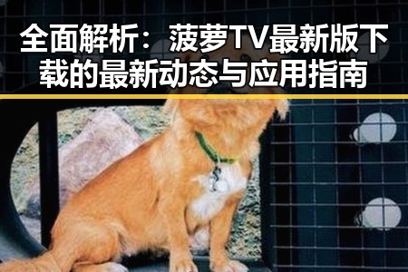全面解析：菠萝TV最新版下载的最新动态与应用指南