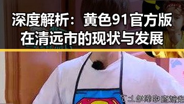 深度解析：黄色91官方版在清远市的现状与发展